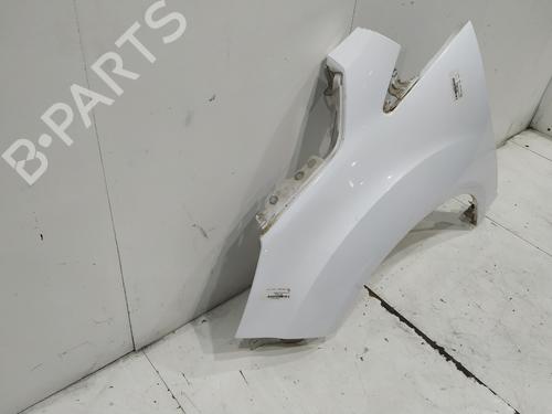 Left front fenders FORD C-MAX II (DXA/CB7, DXA/CEU) | BP30100159C41