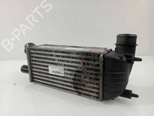 Ladeluftkühler CITROËN JUMPY II Platform/Chassis 2.0 HDi 125 | BP29830936M30 