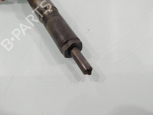 Injector RENAULT MEGANE II (BM0/1_, CM0/1_) | BP31251110M100