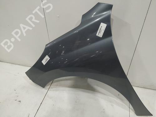 Used Left front fenders PEUGEOT 207 (WA_, WC_) 1.4 HDi (68 hp) 29156836