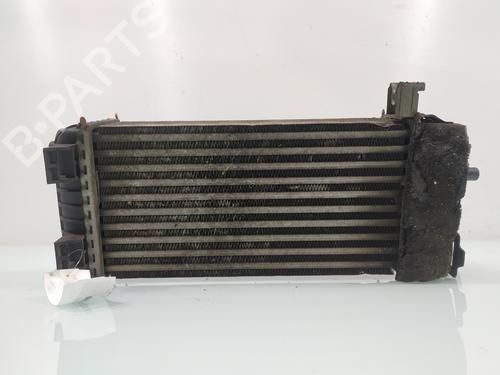 Intercooler FORD C-MAX II (DXA/CB7, DXA/CEU) | BP30929384M30