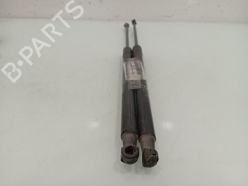 Tailgate lift support NISSAN QASHQAI / QASHQAI +2 I (J10, NJ10, JJ10E) 1.5 dCi | BP14031250C138 