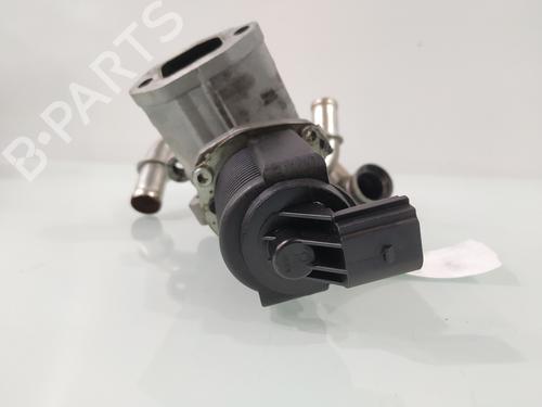 Egr FIAT FIORINO Box Body/MPV (225_) 1.3 D Multijet (225BXD1A, 225BXB1A, 225BXB11) | BP29955682M69