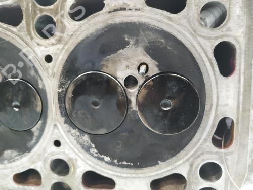Cylinder head VW CRAFTER 30-50 Van (2E_)  | BP31266672M5 