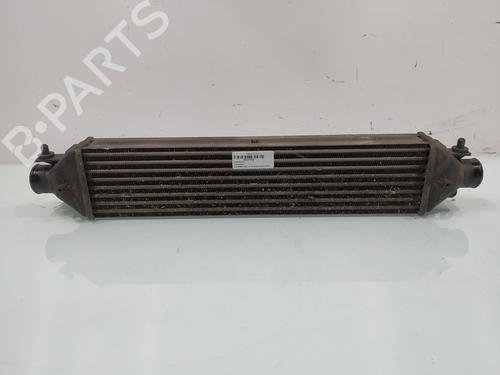 Intercooler FIAT BRAVO II (198_) 1.6 D Multijet (198AXH1B) (105 hp) 31670518
