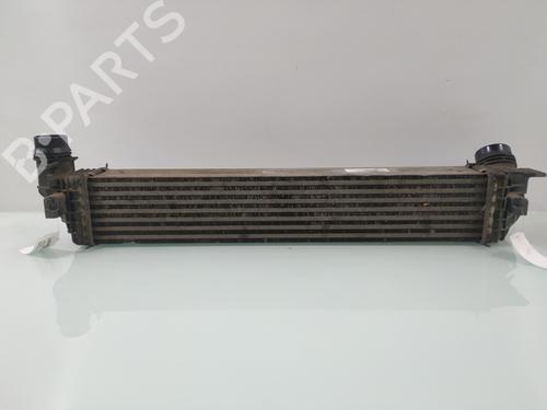 Used Intercooler RENAULT GRAND SCÉNIC III (JZ0/1_) 1.6 dCi (JZ00, JZ12) (130 hp) 29156858