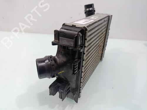 Intercooler DACIA SANDERO III | BP31309520M30