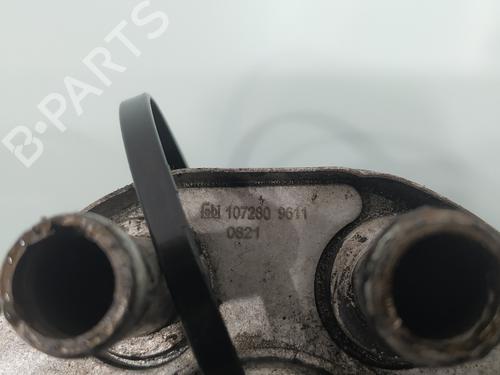 Oliekøler NISSAN NT400 CABSTAR (F24M)  | BP24656189M33 