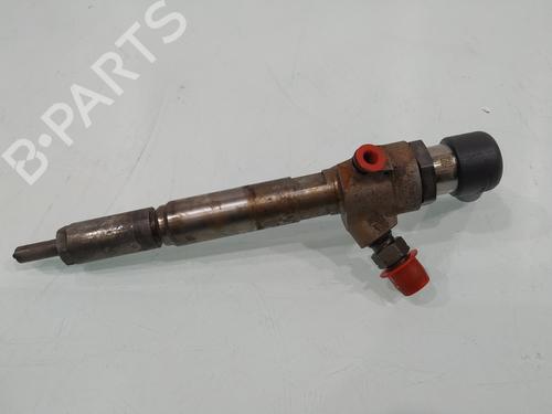 Injector RENAULT MEGANE II (BM0/1_, CM0/1_) | BP31251110M100