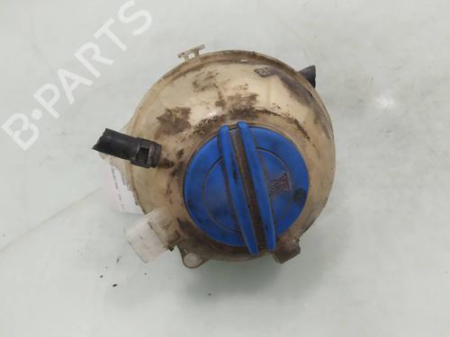 Used Expansion tank SKODA FABIA II (542) 1.4 TDI (70 hp) 10196156