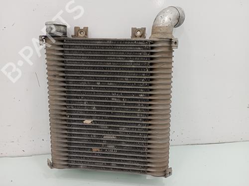 Intercooler HYUNDAI SANTA FÉ I (SM) 2.0 CRDi | BP15385650M30 