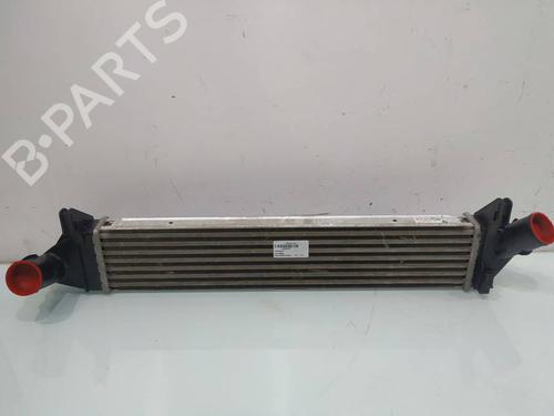 Intercooler Intercooler DACIA SANDERO [2008-2026] 39696593 39696593
