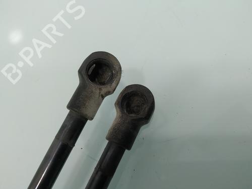 Tailgate lift support SEAT LEON (1M1)  | BP22711983C138 