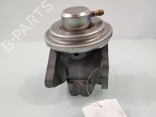 Egr AUDI A3 (8P1)  | BP29955718M69 