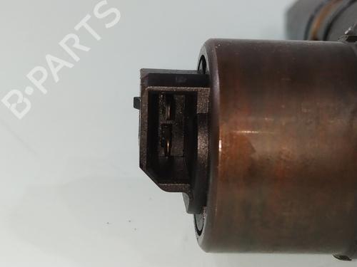 Injector AUDI A3 (8P1) | BP29955712M100
