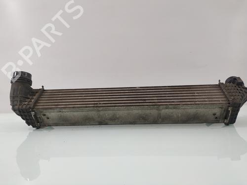 Intercooler RENAULT GRAND SCÉNIC III (JZ0/1_) 1.6 dCi (JZ00, JZ12) | BP29156858M30 