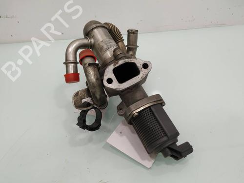 Egr OPEL COMBO Box Body/MPV  | BP10688782M69 