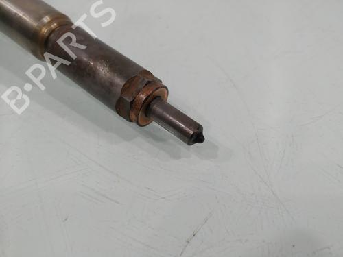 Injector RENAULT MEGANE II (BM0/1_, CM0/1_)  | BP31251108M100 