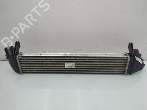 Intercooler DACIA SANDERO | BP39696593M30 - Image 2