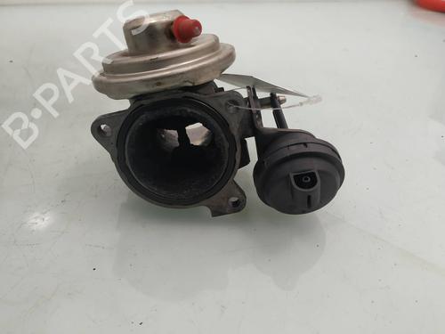 EGR-Ventil SEAT IBIZA III (6L1) [2002-2009]  9125409