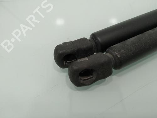 Tailgate lift support SEAT LEON (1M1)  | BP22711983C138 