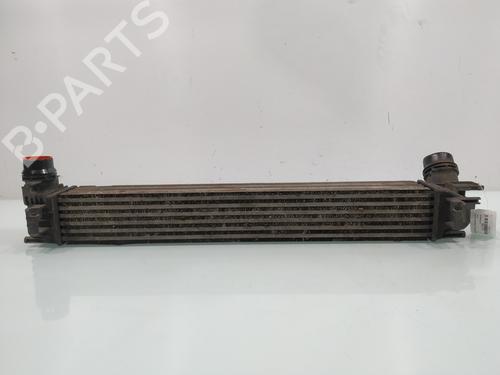 Intercooler RENAULT MEGANE III Hatchback (BZ0/1_, B3_) 1.5 dCi (BZ1G, BZ1W, BZ0R) | BP31887823M30 - Image 4