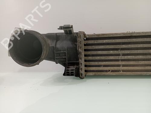 Intercooler MERCEDES-BENZ E-CLASS (W211) E 270 CDI (211.016) | BP29448704M30 