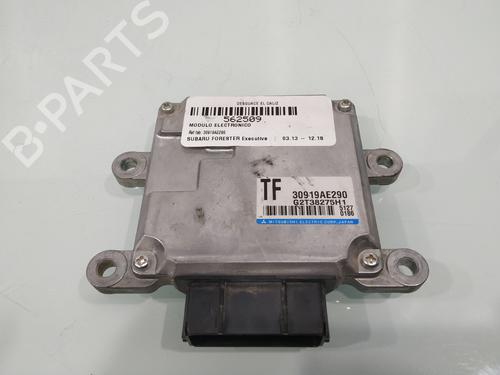 Electronic module SUBARU FORESTER (SJ_) 2.0 D AWD (SJD) | BP31885256M83