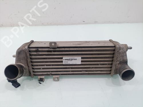 Used Intercooler HYUNDAI i30 (FD) [2007-2012]  33177144