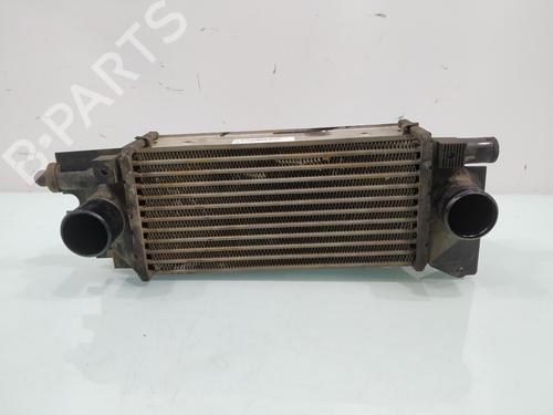 Intercooler LAND ROVER FREELANDER I (L314) [1998-2006]  31755710