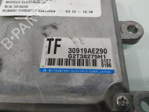 Electronic module SUBARU FORESTER (SJ_) 2.0 D AWD (SJD) | BP31885256M83