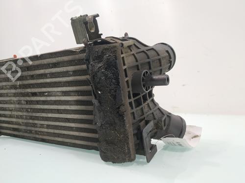 Intercooler FORD C-MAX II (DXA/CB7, DXA/CEU) | BP30929384M30