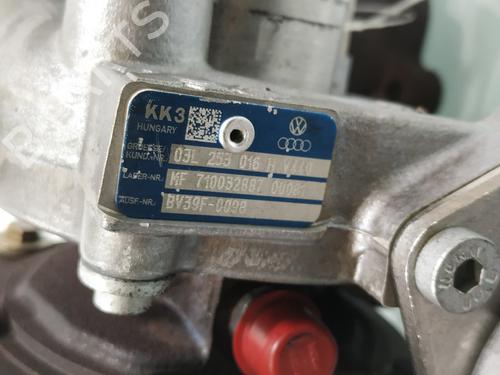 Turbocharger/Supercharger SEAT IBIZA IV (6J5, 6P1)  | BP31638428M71 