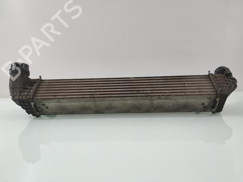 Intercooler RENAULT GRAND SCÉNIC III (JZ0/1_) 1.6 dCi (JZ00, JZ12) | BP29156858M30 