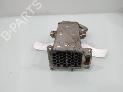 Egr VW PASSAT B7 Variant (365)  | BP29532165M69 