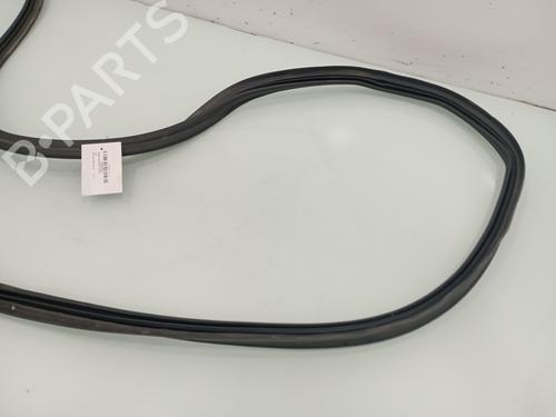 Rubber door seal AUDI Q5 (FYB, FYG) 3.0 TDI quattro | BP14031553C142 