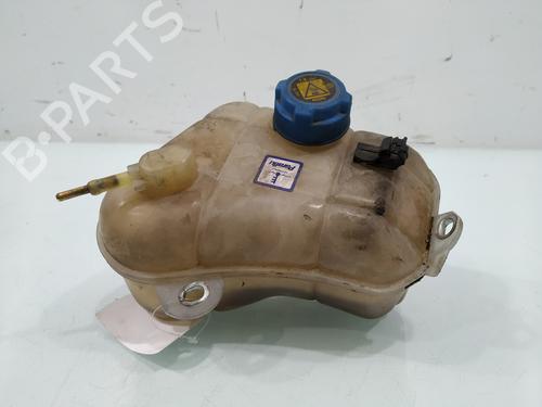 Ekpansionstank FIAT BRAVO II (198_) 1.6 D Multijet (198AXH1B) (105 hp) 31757925
