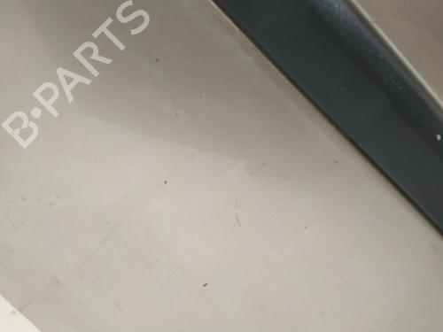 Left rear door RENAULT CLIO III (BR0/1, CR0/1) 1.5 dCi (BR17, CR17) | BP32219520C4 