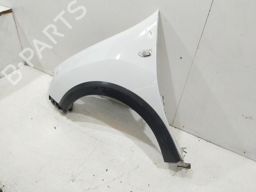 Left front fenders DACIA SANDERO II  | BP24179187C41 
