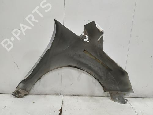 Left front fenders FORD C-MAX II (DXA/CB7, DXA/CEU) | BP30100159C41