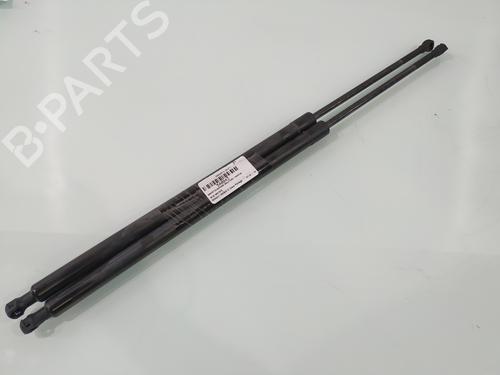 Used Tailgate lift support RENAULT GRAND SCÉNIC III (JZ0/1_) 1.6 dCi (JZ00, JZ12) (130 hp) 29834493