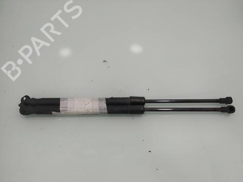 Tailgate lift support BMW 1 (E87) 120 d | BP14030879C138 