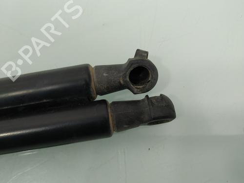 Tailgate lift support NISSAN QASHQAI / QASHQAI +2 I (J10, NJ10, JJ10E) 1.6 dCi | BP17221752C138 