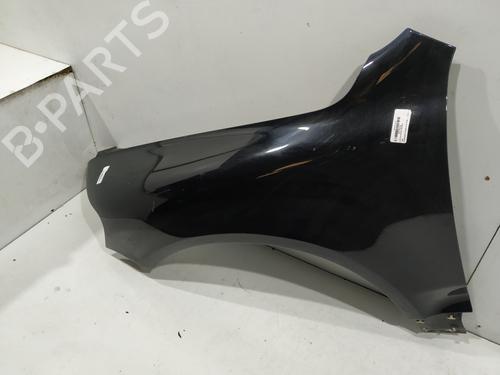 Left front fenders VW TOUAREG (7LA, 7L6, 7L7) 2.5 R5 TDI | BP19105754C41 