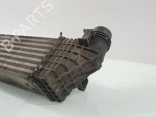 Intercooler RENAULT GRAND SCÉNIC III (JZ0/1_) 1.6 dCi (JZ00, JZ12) | BP29156858M30 