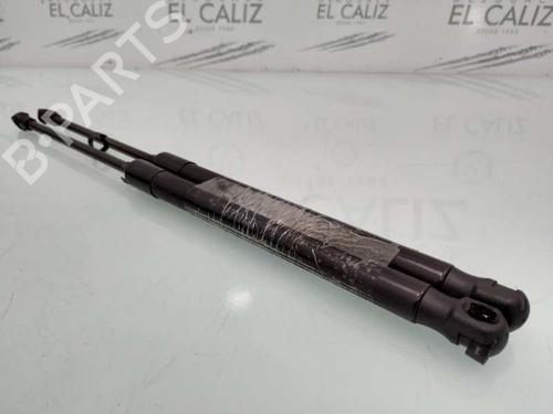 Tailgate lift support BMW 1 (E87) 118 d | BP14029123C138 