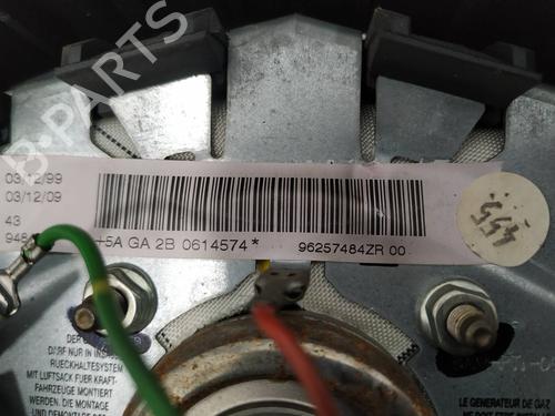 Driver airbag PEUGEOT 206 Hatchback (2A/C) 2.0 HDI 90 | BP8096144C9 
