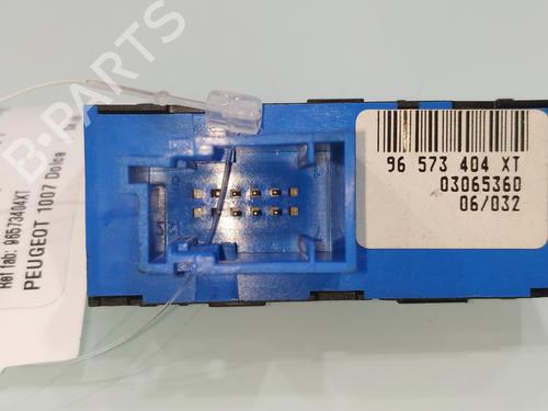 Switch PEUGEOT 1007 (KM_)  | BP24855129I30