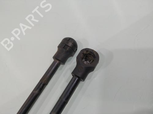 Tailgate lift support DACIA SANDERO II  | BP25119923C138 