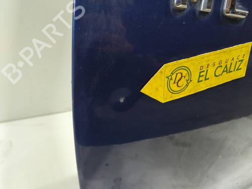 Tailgate MERCEDES-BENZ M-CLASS (W163) ML 270 CDI (163.113) | BP10345113C6 